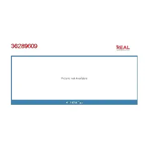 36289609BN REAL