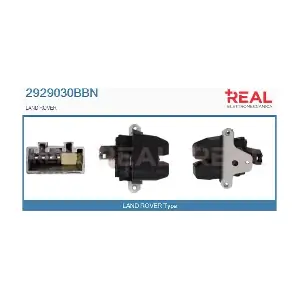 2929030BBN REAL