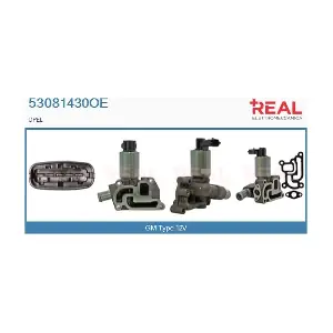 53081430OE REAL