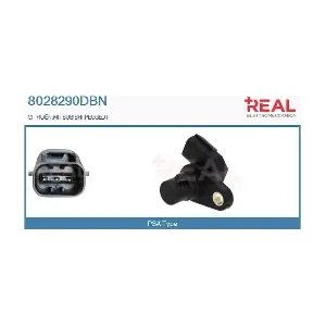 8028290DBN REAL