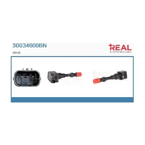 REAL 30034600BN