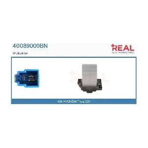 40089000BN REAL
