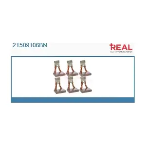 21509106BN REAL