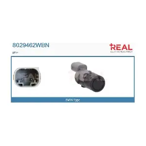 8029462WBN REAL