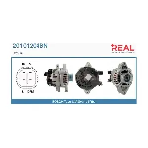REAL 20101204BN