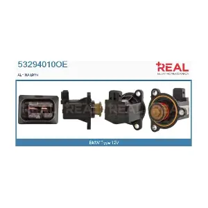 53294010OE REAL