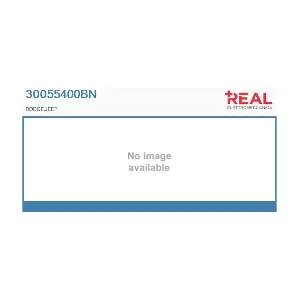 30055400BN REAL