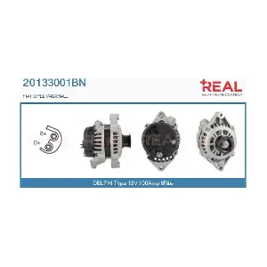 REAL 20133001BN