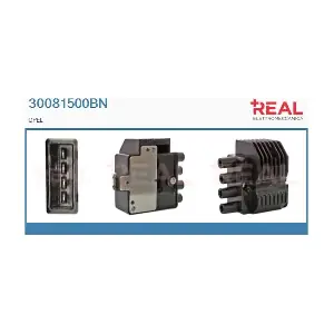REAL 30081500BN