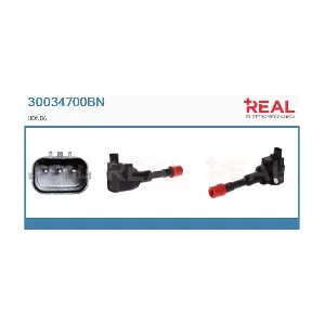REAL 30034700BN