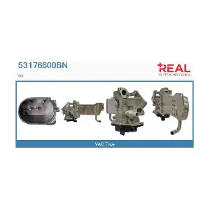 53176600BN REAL