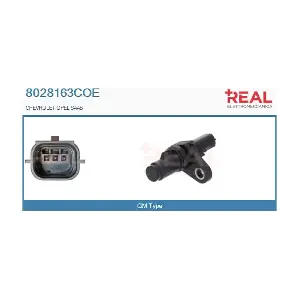 8028163COE REAL