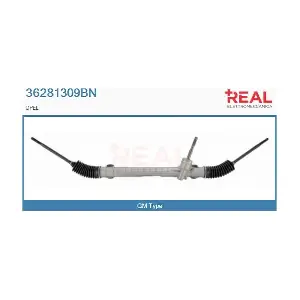 36281309BN REAL