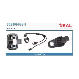 8028991EBN REAL