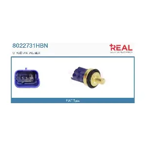 8022731HBN REAL