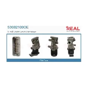 REAL 53082100OE