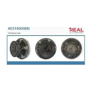 40314500BN REAL