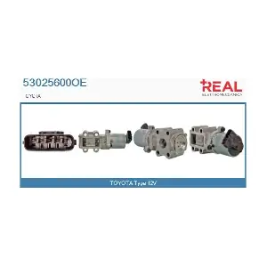 53025600OE REAL