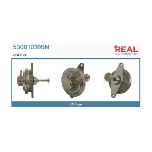 REAL 53081030BN
