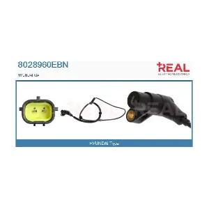 8028960EBN REAL