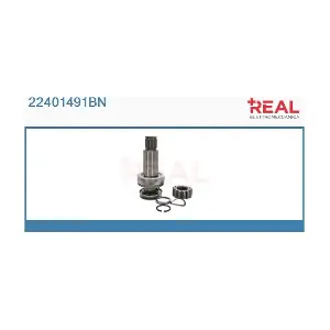REAL 22401491BN