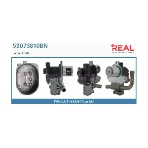 REAL 53073810BN