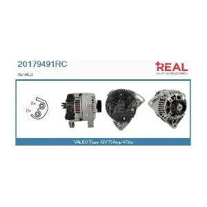 REAL 20179491RC