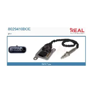 8029410BOE REAL