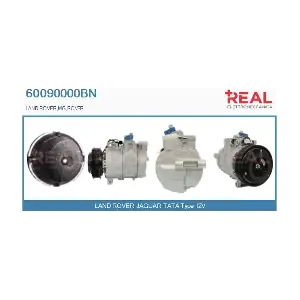 REAL 60090000BN