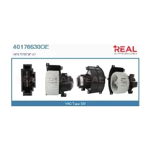 REAL 40176630OE