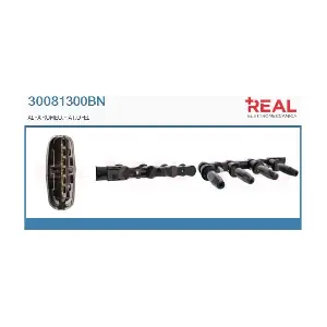 REAL 30081300BN