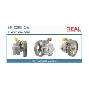36182631OE REAL