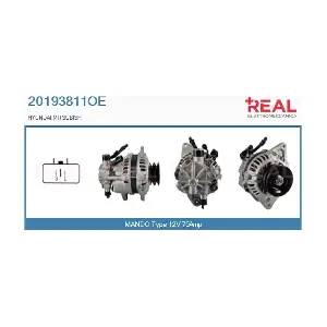 20193811OE REAL