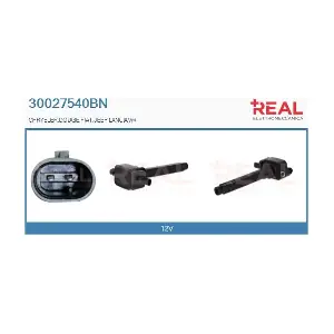 REAL 30027540BN