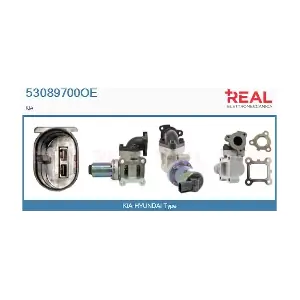 53089700OE REAL