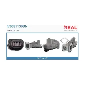 REAL 53081130BN