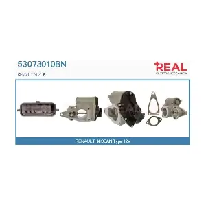 53073010BN REAL