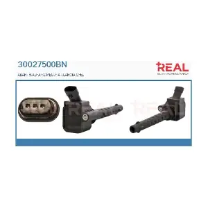 REAL 30027500BN