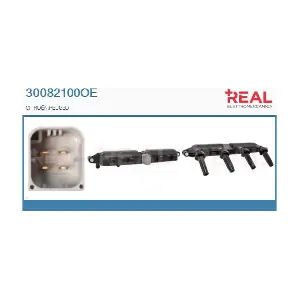30082100OE REAL