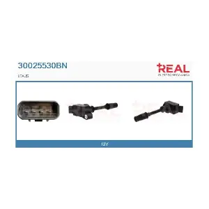 30025530BN REAL
