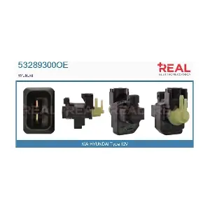 53289300OE REAL