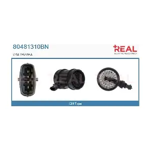 80481310BN REAL