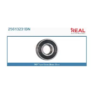25613231BN REAL