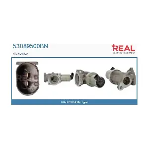 53089500BN REAL