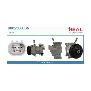 60025880BN REAL