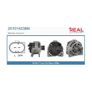 REAL 20101423BN
