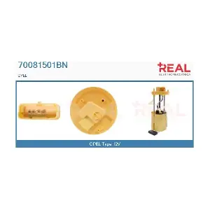 70081501BN REAL