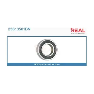 25613501BN REAL