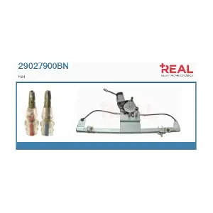 REAL 29027900BN