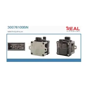 REAL 30076100BN